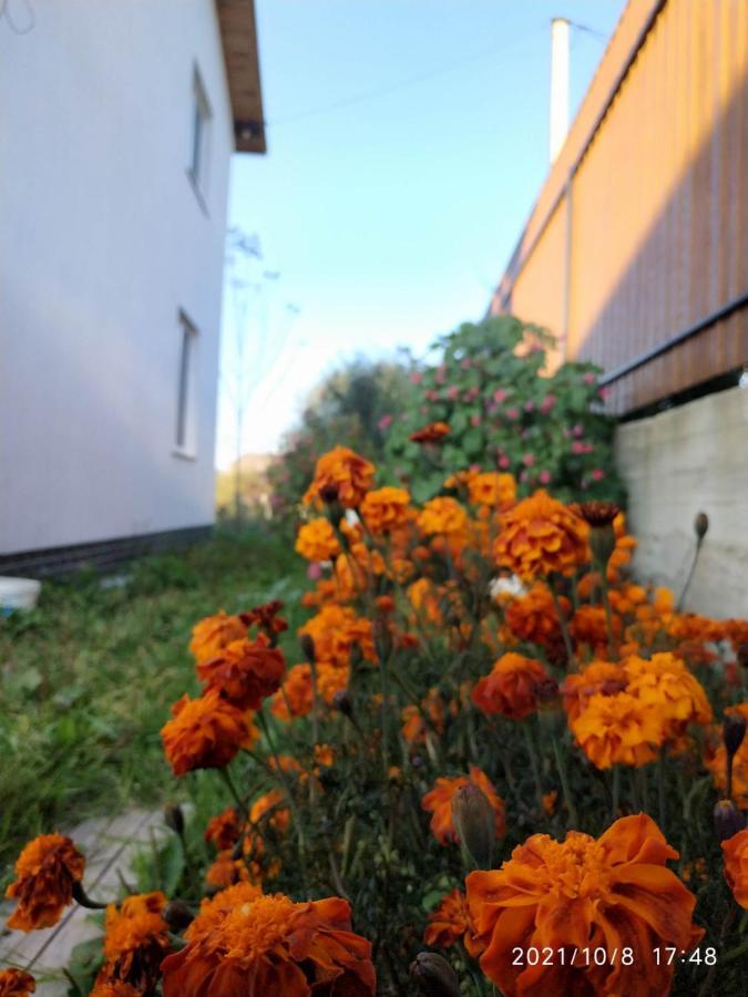 Nestg Guest House Pilipets Eksteriør billede